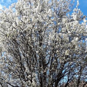 Meet your Posher, Johana